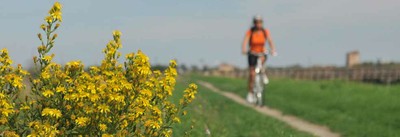 Enjoy a bike ride in Spring