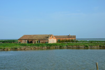 Casoni