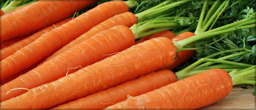 Carrots