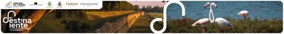 Banner home en