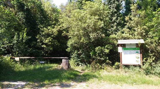 Santa Giustina Wood -  Po Delta Park