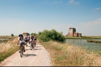 NOLEGGIO BICI MANIFATTURA DEI MARINATI