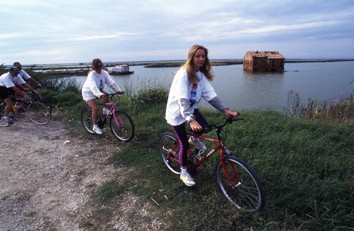 Bici Bici