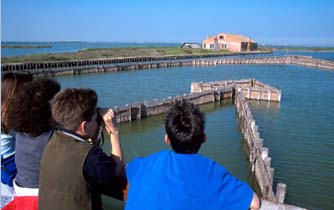 Valli di Comacchio para niños