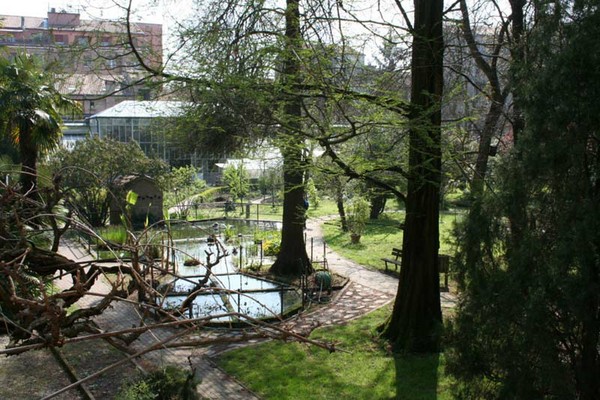 Jardin Botanico