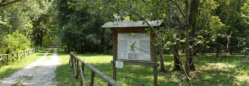 Bosque de la Panfilia