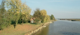 Oasis de Campotto - Parc du Delta du Pô