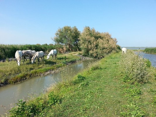 Péninsule de Boscoforte