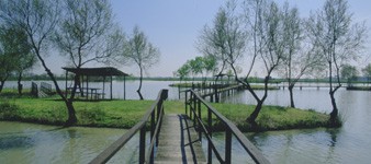 8. Promenade à vélo d'une réserve naturelle à l'autre. D'Ostellato à Argenta