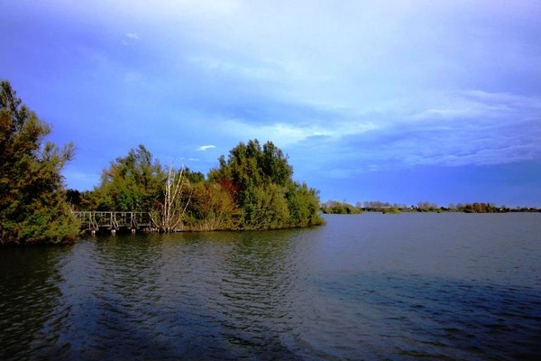 Anse Vallive - Parc du Delta du Pô