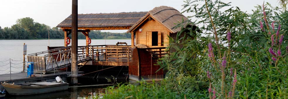 le moulin dans le vert