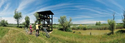 Valli di Argenta in bicicletta