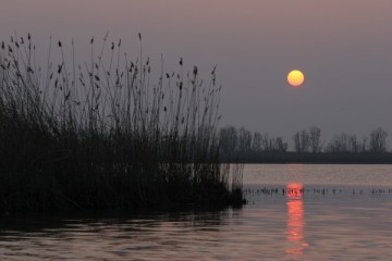 Immagine dell'evento