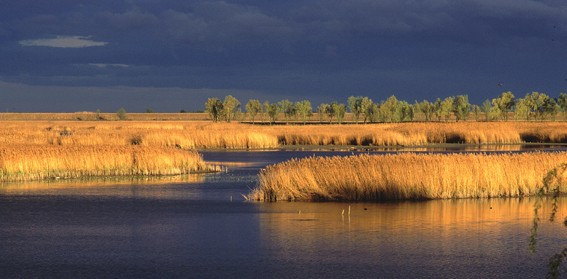 Immagine dell'evento