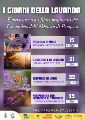 Immagine dell'evento