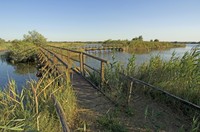 E' una piccola valle salmastra di 64 ettari. Importante relitto vallivo di un più vasto complesso di lagune costiere, che circondava l’Abbazia di Pomposa, è delimitata alle estremità da due antichi casoni di valle adibiti, un tempo, a deposito di strumenti per la pesca