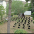 Proiezioni presso il giardino della casa museo Remo Brindisi