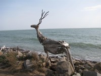 Incontri di Mare al Lido di Volano