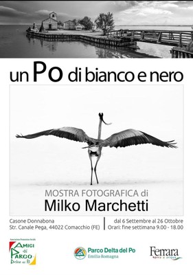 Immagine dell'evento