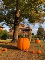 Parco delle Zucche in agriturismo