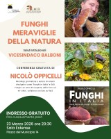 Funghi, meraviglie della natura