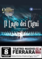 Il lago dei cigni