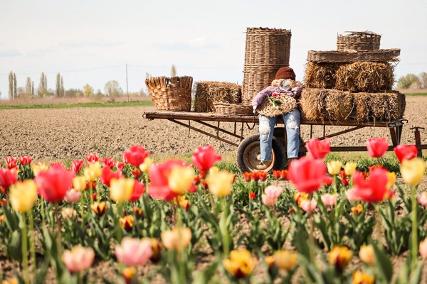 Immagine dell'evento