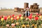 Tulipani in Festa