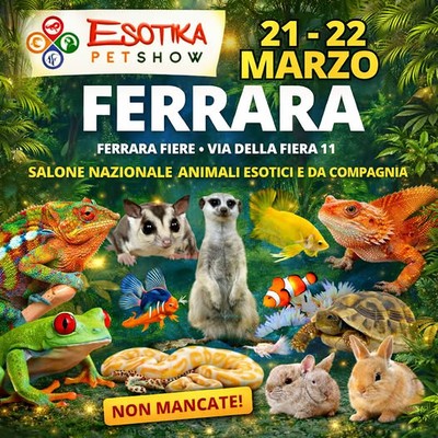 Immagine dell'evento