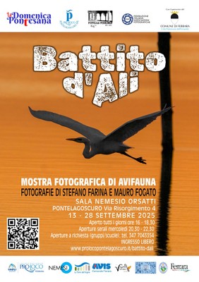 Immagine dell'evento