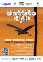 Battito d'ali