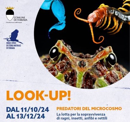 Immagine dell'evento