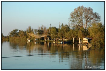 Paesaggio acquatico - Goro