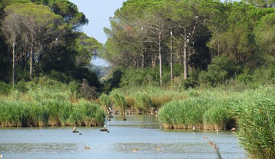 GUSTATEVI IL DELTA DEL PO