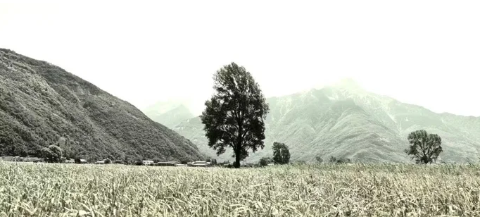 I colori della natura e dell'anima