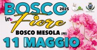 Bosco in Fiore