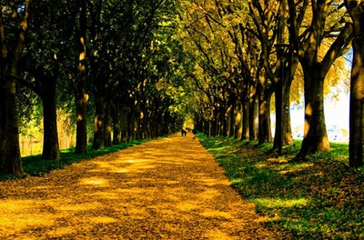 mura di ferrara mura di ferrara