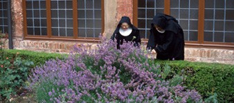 I luoghi della Fede a Ferrara