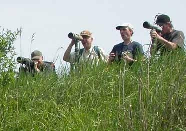 Corsi ed escursioni di birdwatching